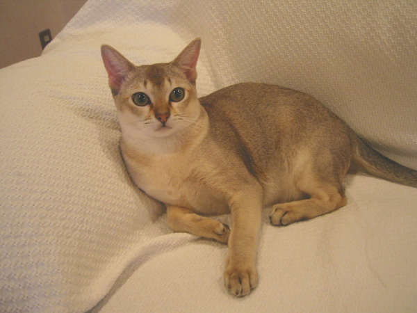 鈴木きよのプロフィール画像