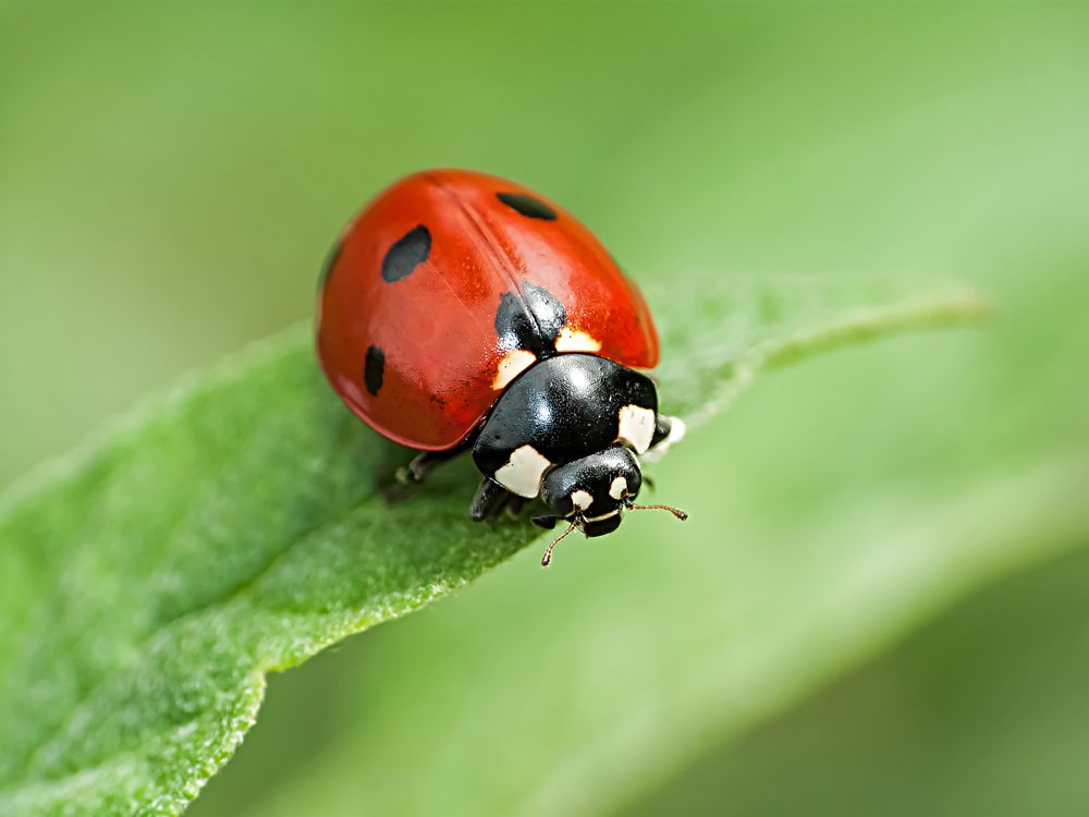 LogPointsBugVD3888